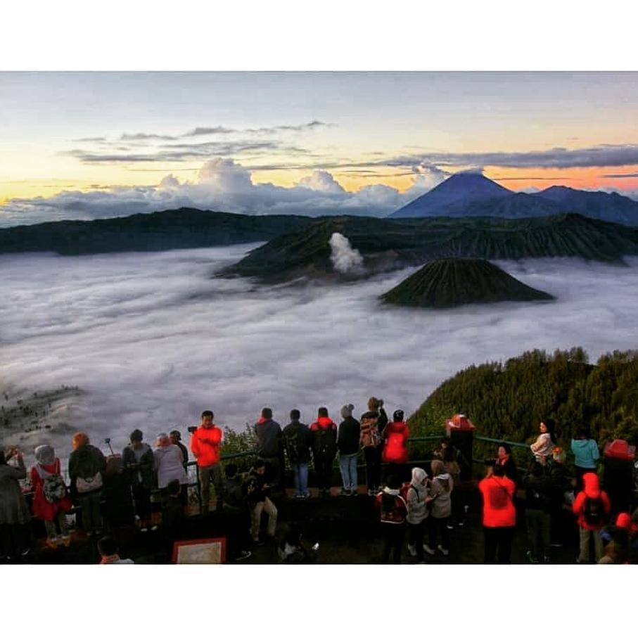 파수루안 Bromo Backpacker Tosari 아파트 외부 사진