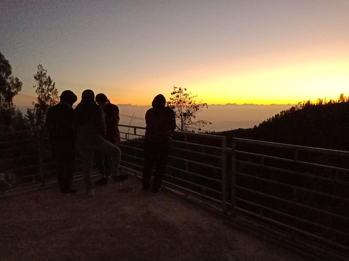 파수루안 Bromo Backpacker Tosari 아파트 외부 사진